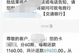 沈阳为什么选择专业追讨公司来处理您的债务纠纷？